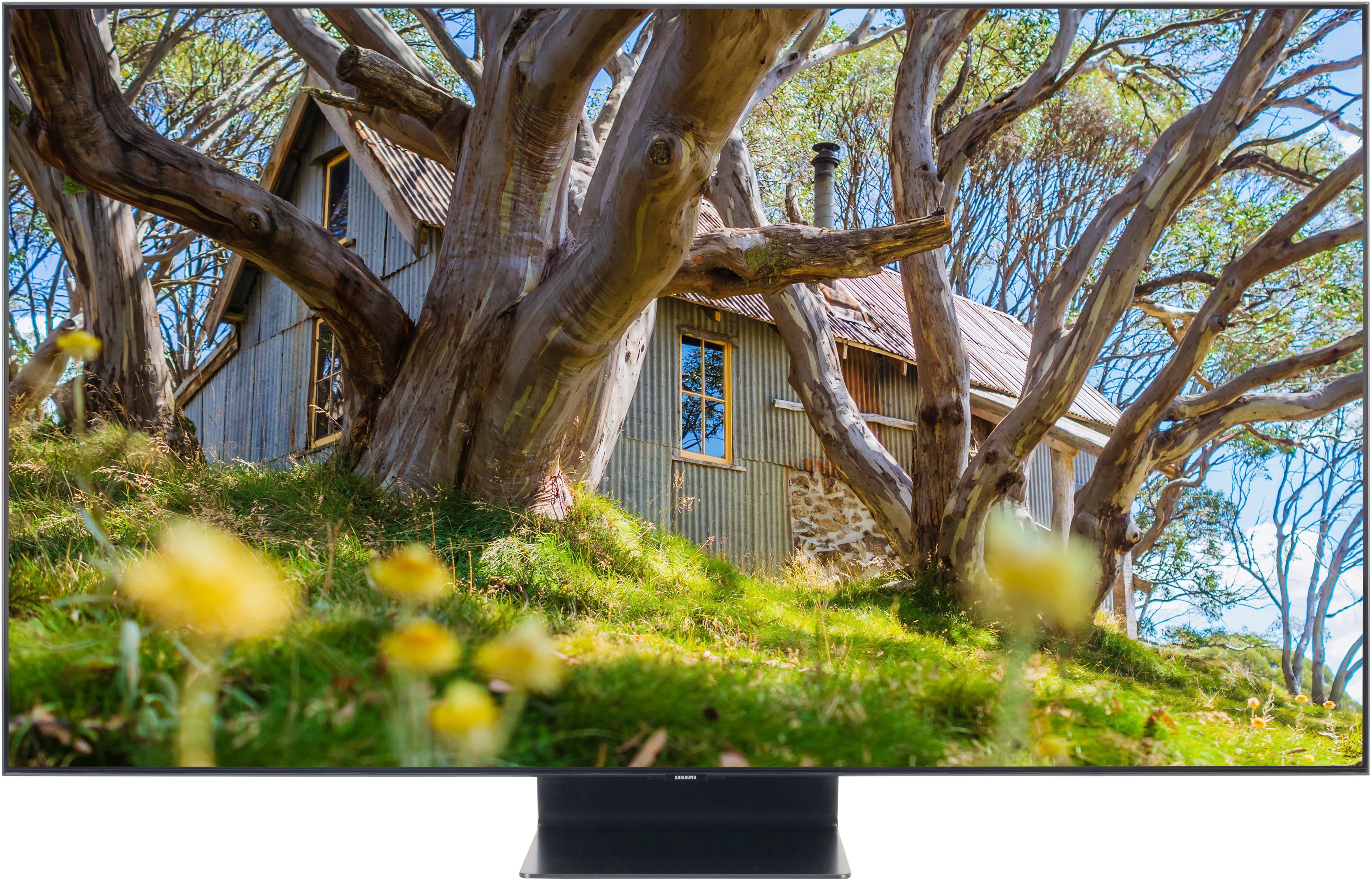 SAMSUNG QE65Q90TALXXN SAMSUNG QE65Q90TALXXN