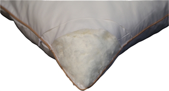 SLEEPLIFE TRAAGSCHUIM HOOFDKUSSEN (VISCO SUPERELLE)