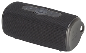 FRESH N REBEL BOLD M2