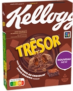KELLOGG'S GEMENGDE ONTBIJTGRAANKUSSENS MET CACAO-SMAAK EN EEN VULLING MET MELKCHOCOLADE-SMAAK, VERSTERKT MET VITAMINEN.